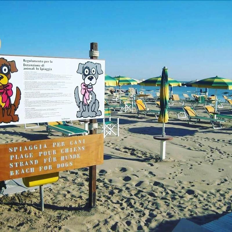 Hotel Alsen Rimini Dış mekan fotoğraf